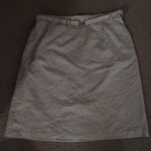 Sag Harber Skirt 20 W NWT